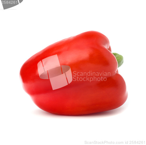 Image of pepper isolated on white background