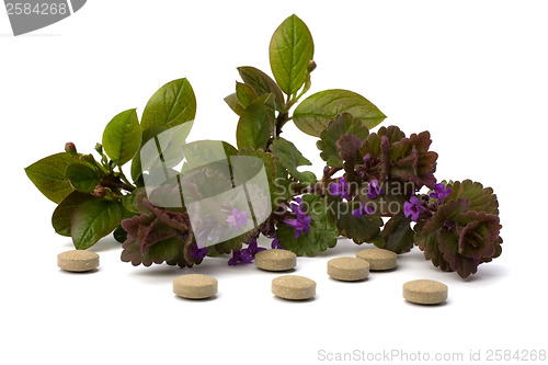 Image of herbal medicine isolated on white background 