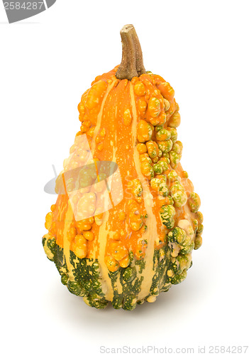 Image of Decorative pumpkin 