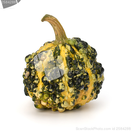 Image of Decorative pumpkin 