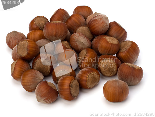 Image of hazelnuts isolated on white background