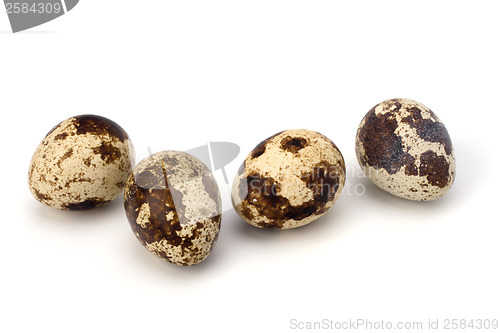 Image of quail eggs