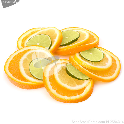 Image of Citrus fruit slices