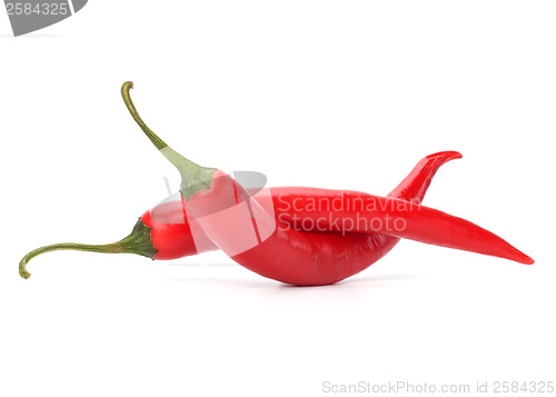 Image of Chili pepper isolated on white background