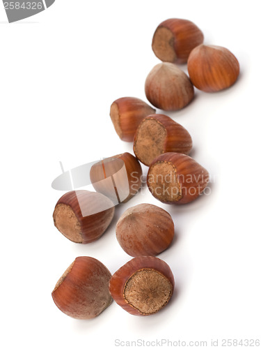 Image of hazelnuts isolated on white background