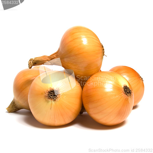 Image of onion isolated on white background