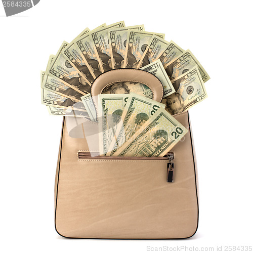 Image of Glamour handbag full with money