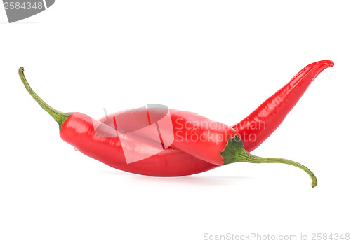 Image of Chili pepper isolated on white background