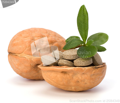 Image of herbal pills