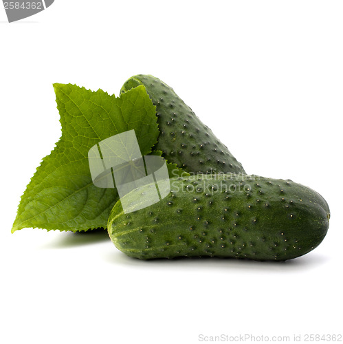 Image of cucumber