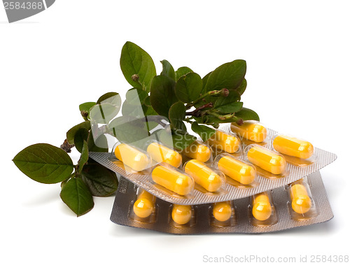 Image of herbal medicine isolated on white background 