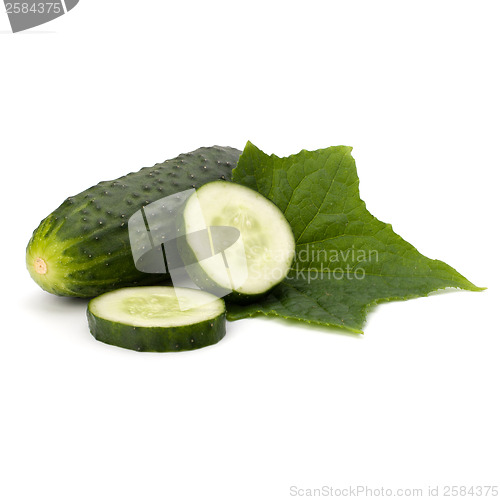 Image of cucumber