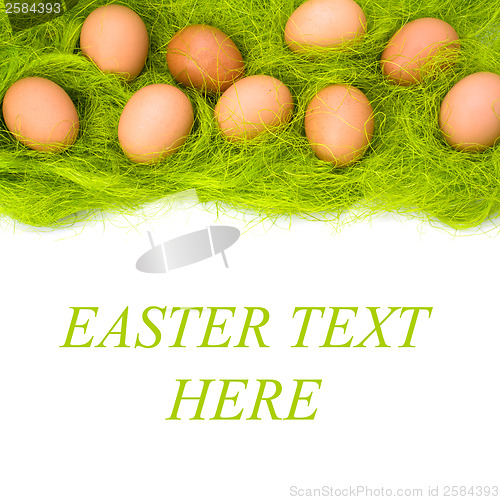 Image of eggs border 