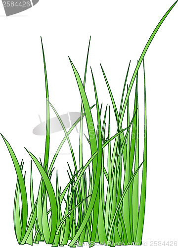 Image of raster. stylized grass silhouette