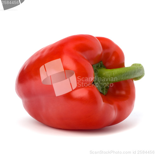 Image of pepper isolated on white background