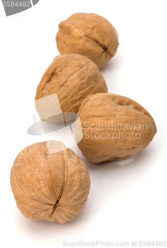 Image of Circassian walnut isolated on the white background 