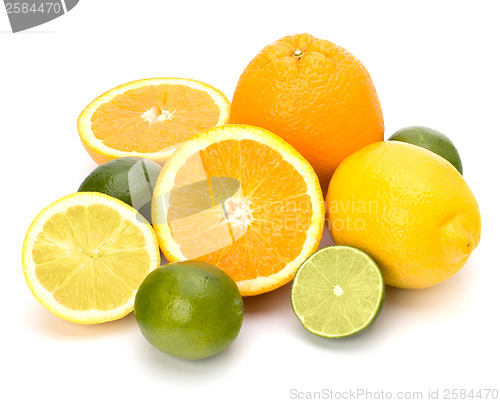 Image of Citrus fruits