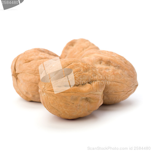 Image of  walnut