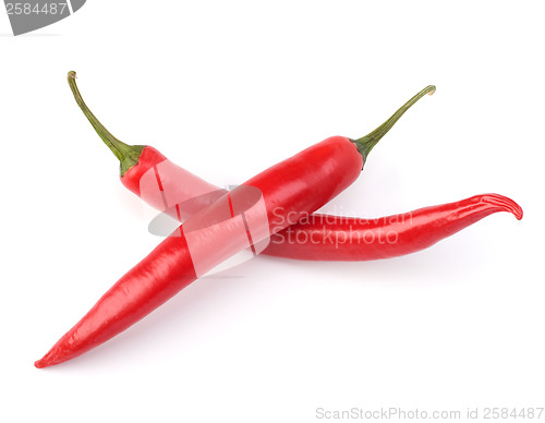 Image of Chili pepper isolated on white background