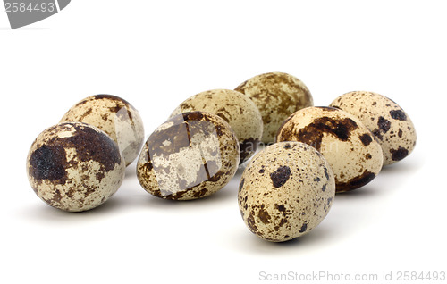 Image of quail eggs