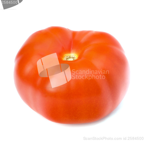 Image of tomato isolated on white background