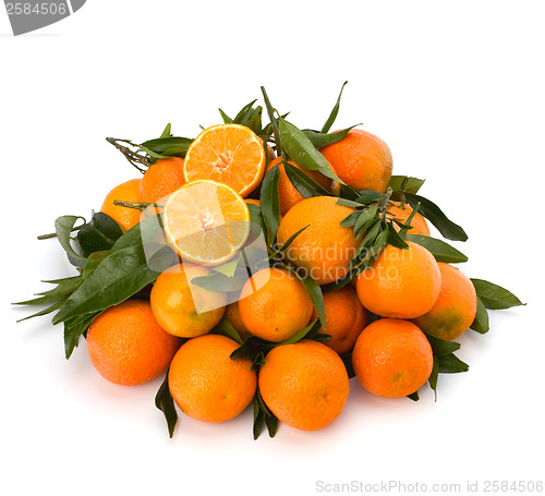 Image of Tangerines 