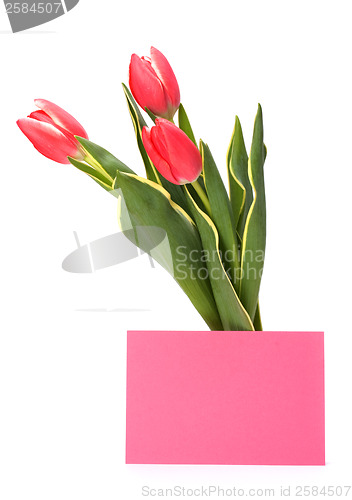 Image of greeting card  with pink tulips  isolated on white background