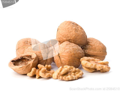 Image of walnuts isolated on white background