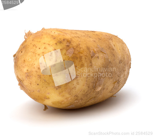 Image of potato