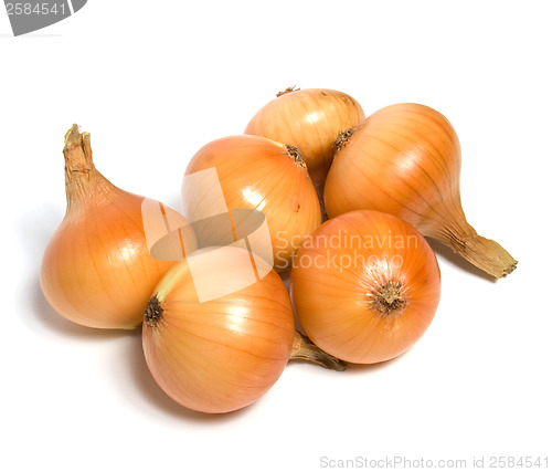 Image of onion isolated on white background