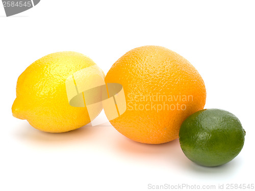 Image of Citrus fruits