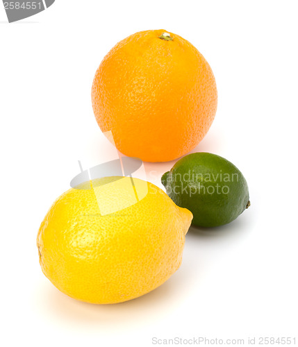 Image of Citrus fruits