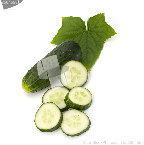 Image of cucumber