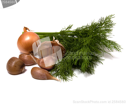 Image of dill and garlic isolated on white 