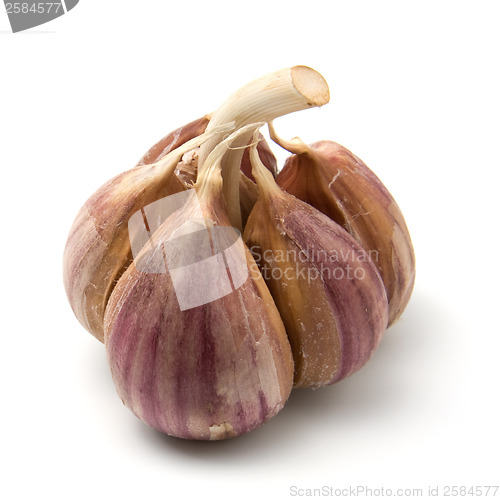 Image of garlic isolated on white background