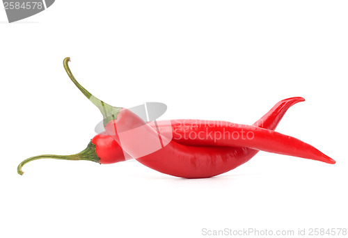 Image of Chili pepper isolated on white background