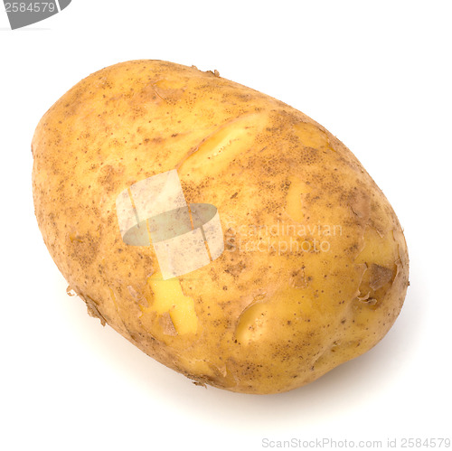 Image of potato