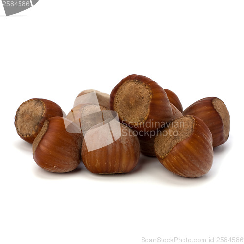 Image of hazelnuts isolated on white background