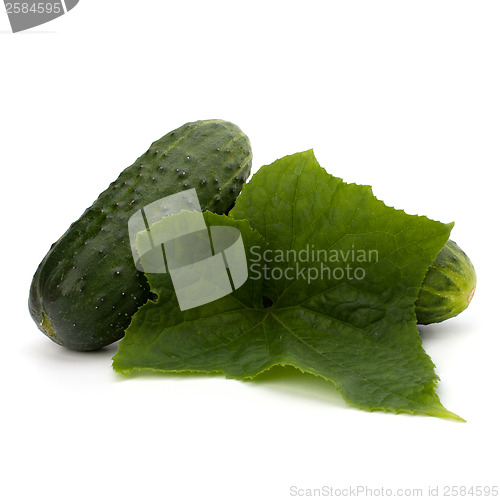 Image of cucumber