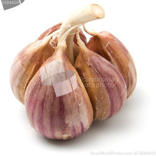 Image of garlic isolated on white
