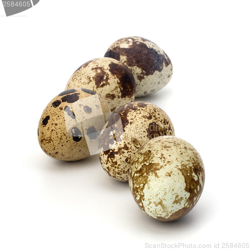 Image of quail eggs