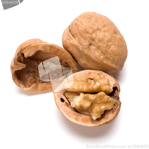 Image of walnut