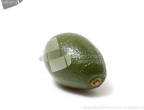 Image of avocado isolated on white 