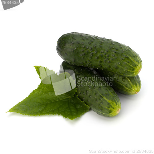 Image of cucumber