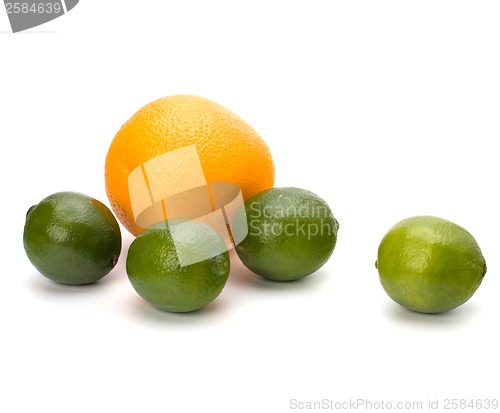 Image of Citrus fruits