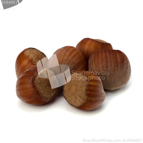 Image of hazelnuts isolated on white background