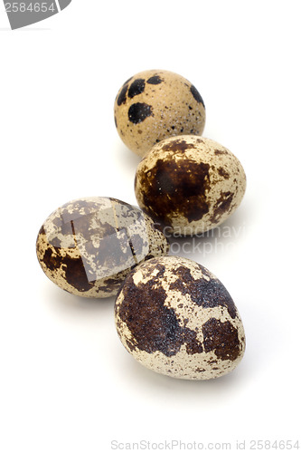 Image of quail eggs