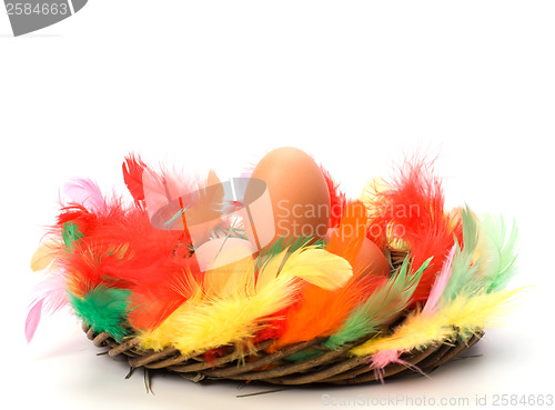 Image of easter egg in nest isolated on white background