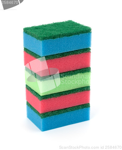Image of sponges 