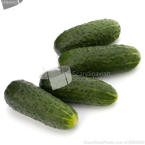 Image of cucumber